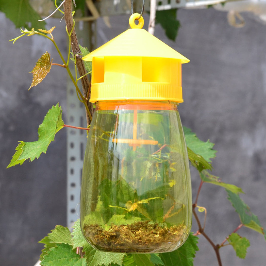 Behogar Fruit Fly Trap Catcher for Home Garden Patio Courtyard Orchard Fruit Vegetables - Pioneer Merchandise