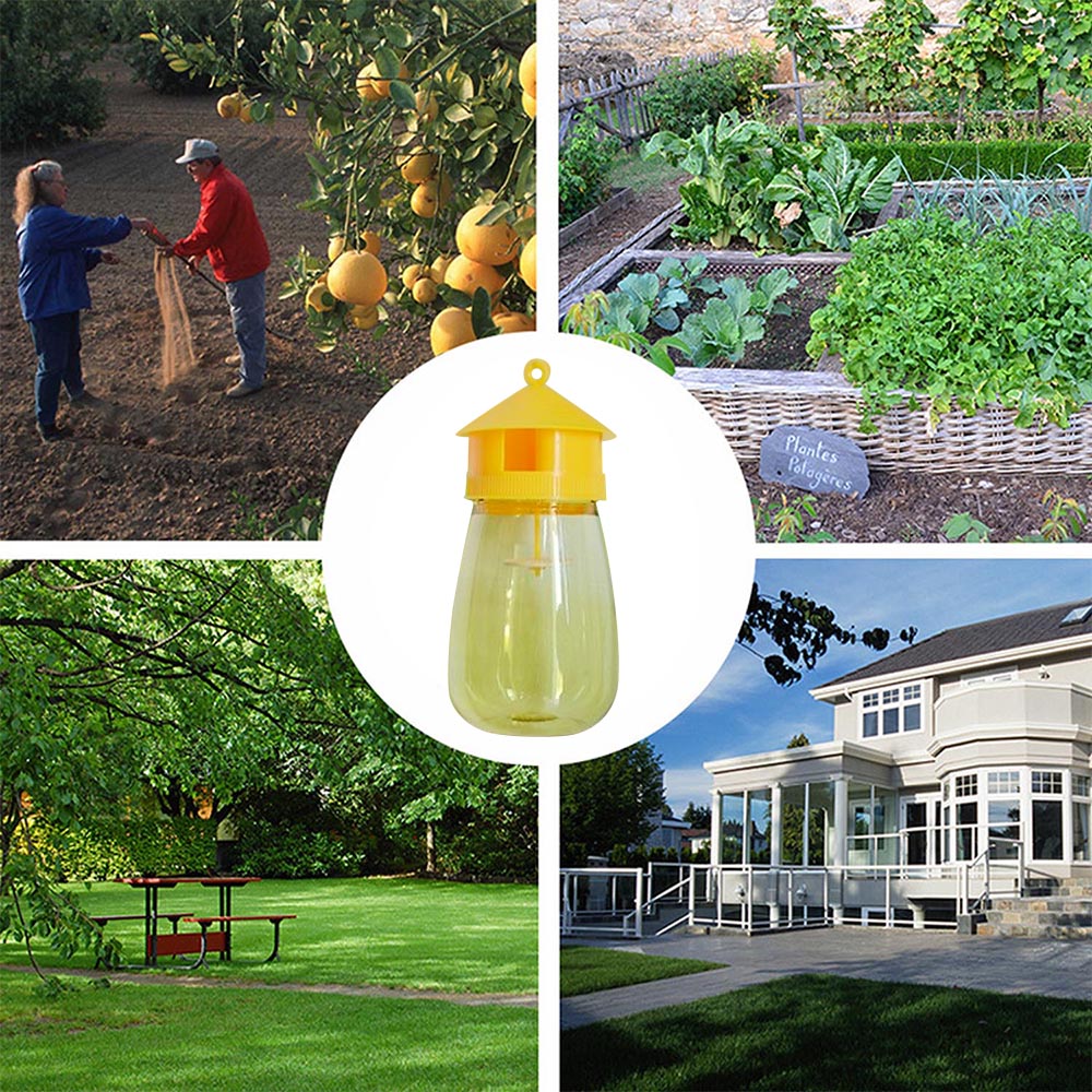 Behogar Fruit Fly Trap Catcher for Home Garden Patio Courtyard Orchard Fruit Vegetables - Pioneer Merchandise