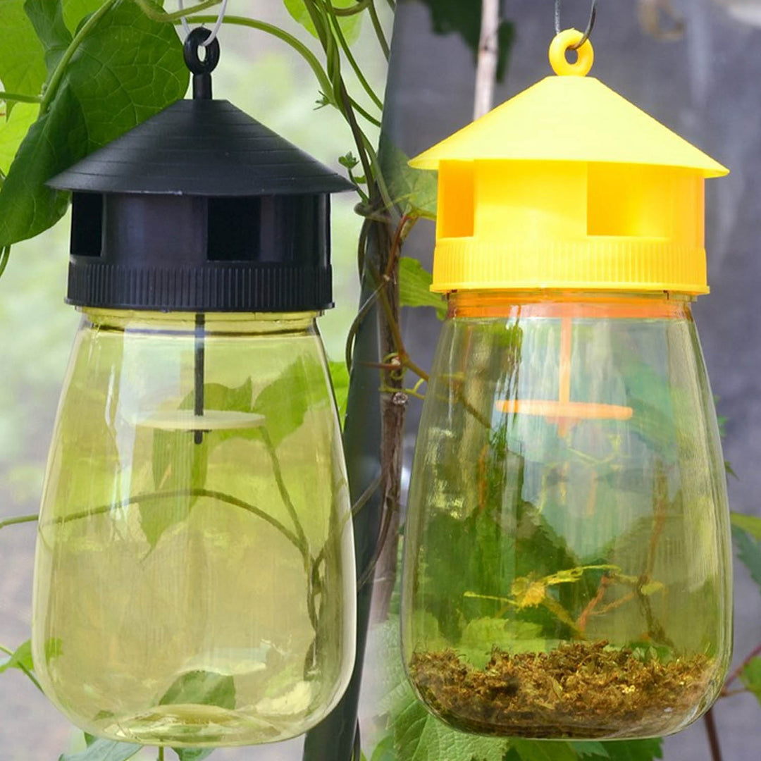 Behogar Fruit Fly Trap Catcher for Home Garden Patio Courtyard Orchard Fruit Vegetables - Pioneer Merchandise