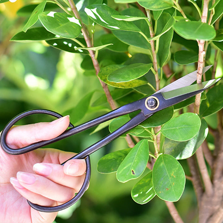 20cm Home Gardening Long-handled Branch Cut Sapling Handle Scissors - Pioneer Merchandise