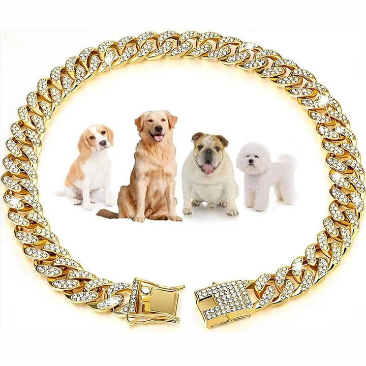 Personalized Dog Collars for Small Medium Large Dogs Cat Gold Chain