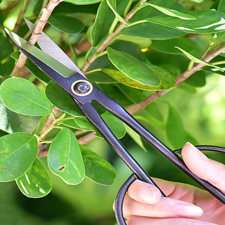 20cm Home Gardening Long-handled Branch Cut Sapling Handle Scissors - Pioneer Merchandise