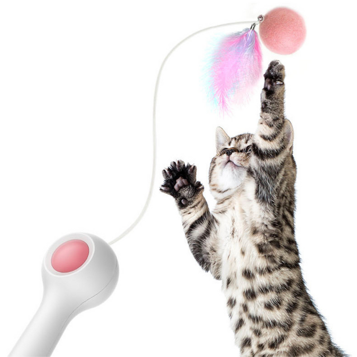 Cat Retractable Stick Feather Toy - Pioneer Merchandise